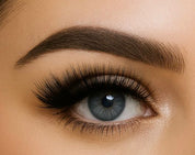 Bassia gris